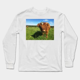 Scottish Highland Cattle Calf 2021 Long Sleeve T-Shirt